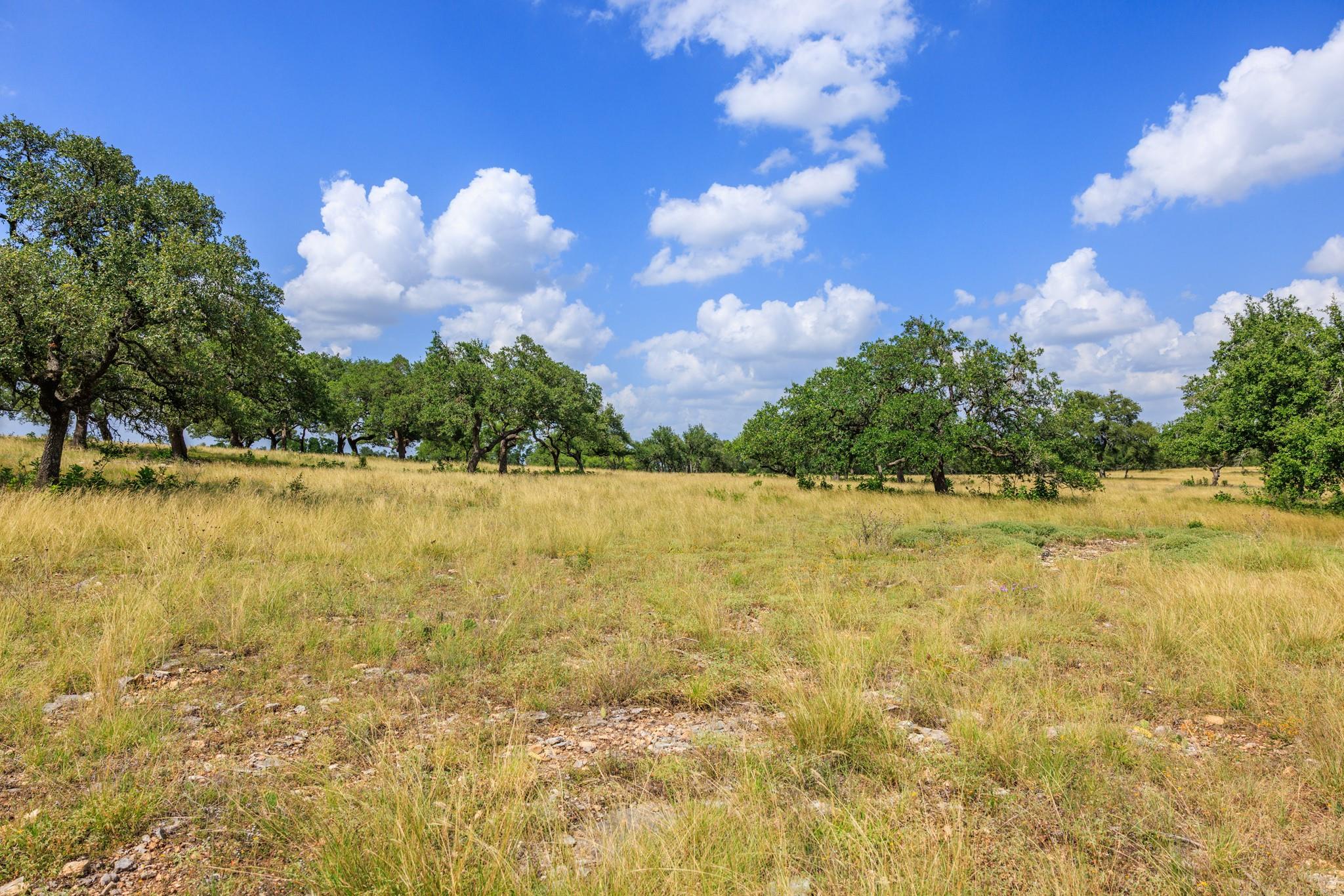 N/a Lone Man Mountain Road Wimberley TX 78676