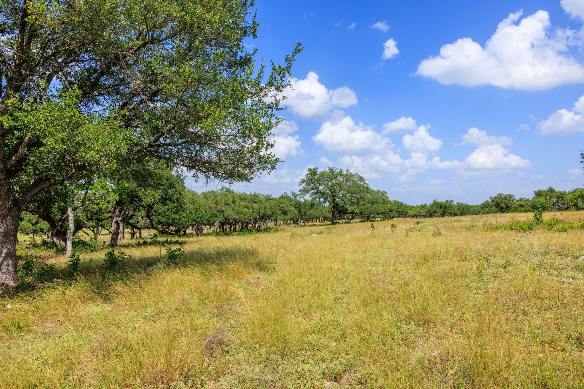N/a Lone Man Mountain Road Wimberley TX 78676