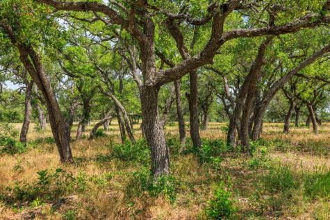 N/a Lone Man Mountain Road Wimberley TX 78676