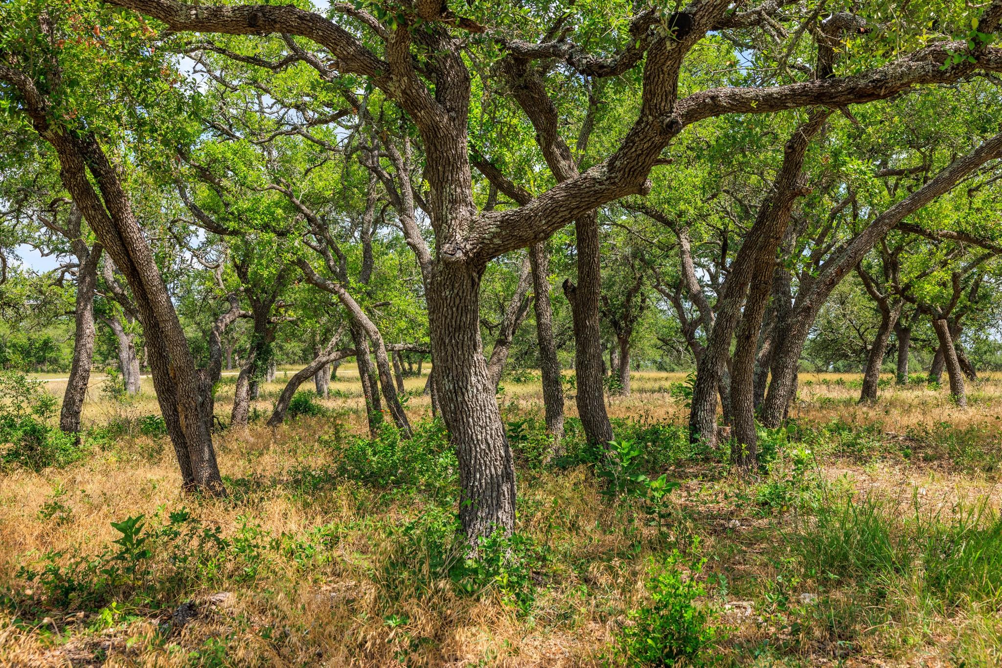 N/a Lone Man Mountain Road Wimberley TX 78676