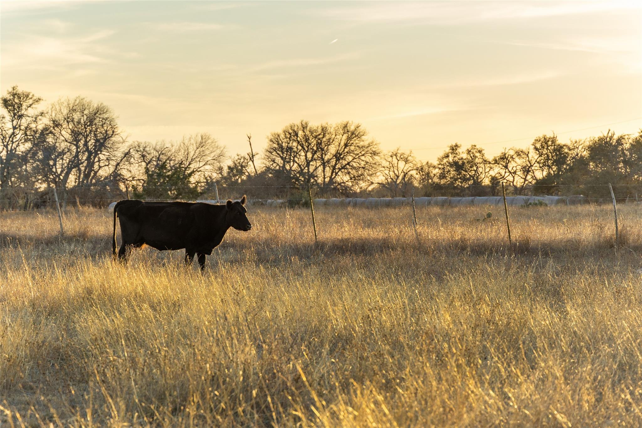 2227-2 Klein-ahrens Road Fredericksburg TX 78624