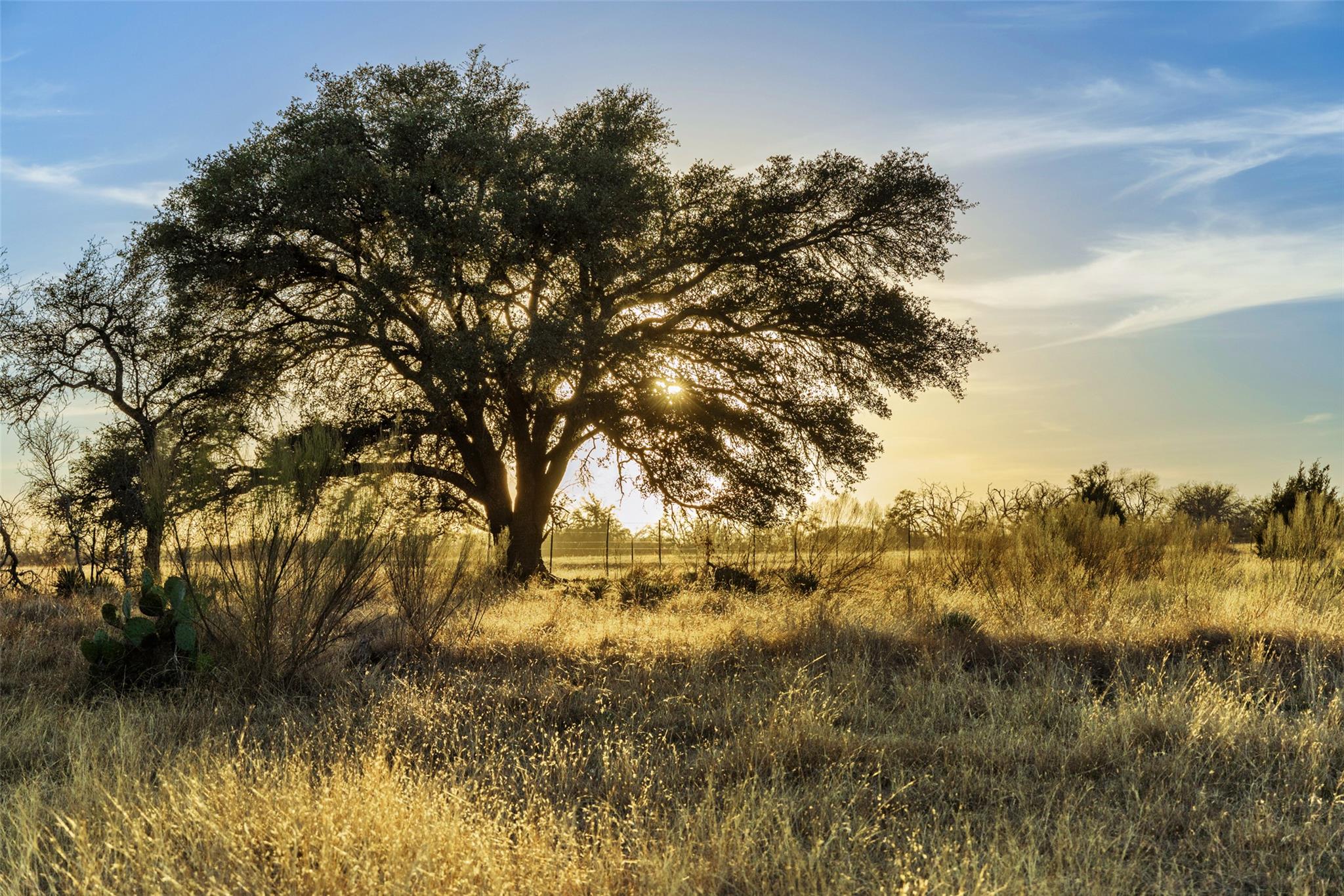 2227-2 Klein-ahrens Road Fredericksburg TX 78624
