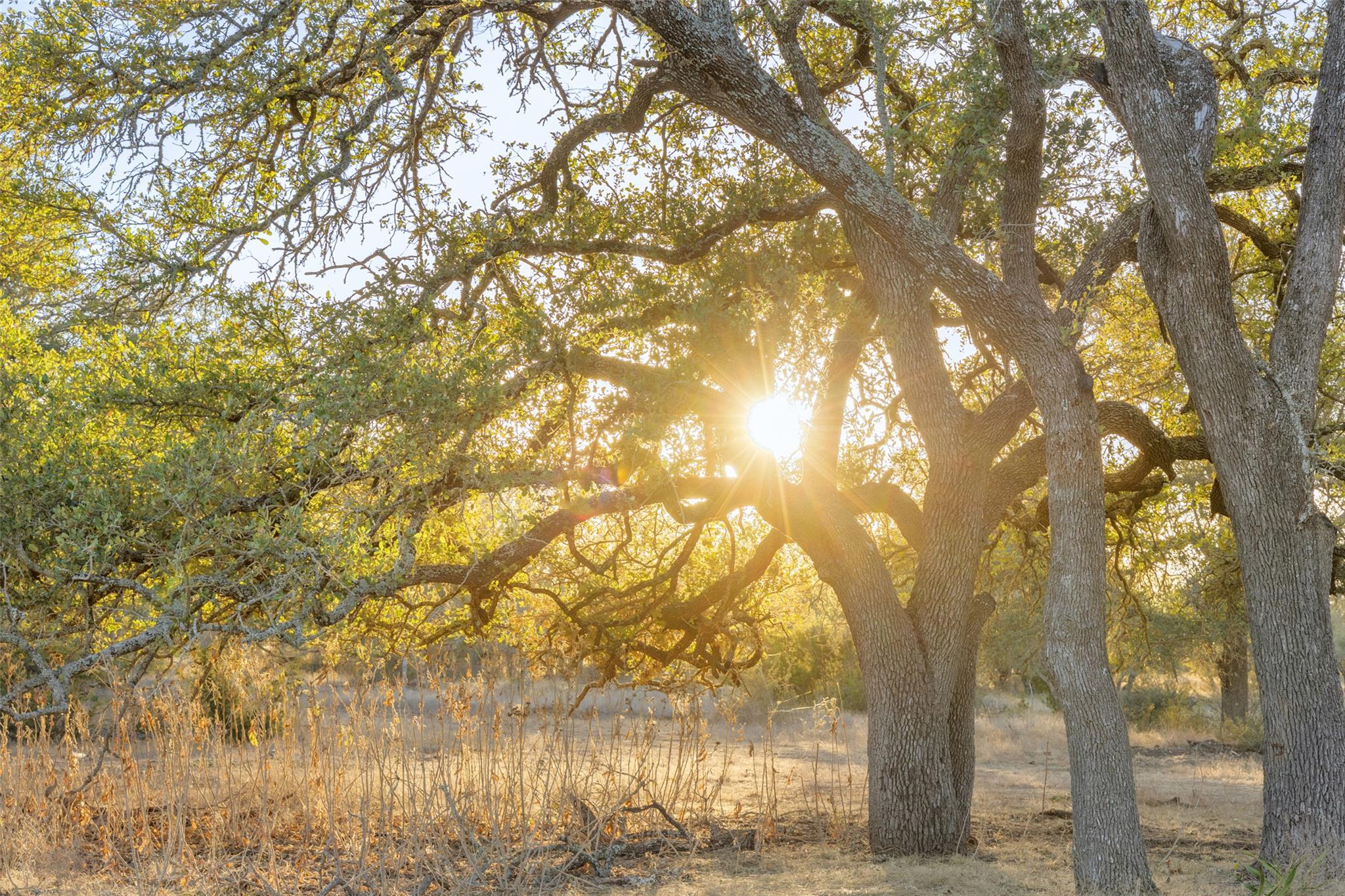 2227-2 Klein-ahrens Road Fredericksburg TX 78624