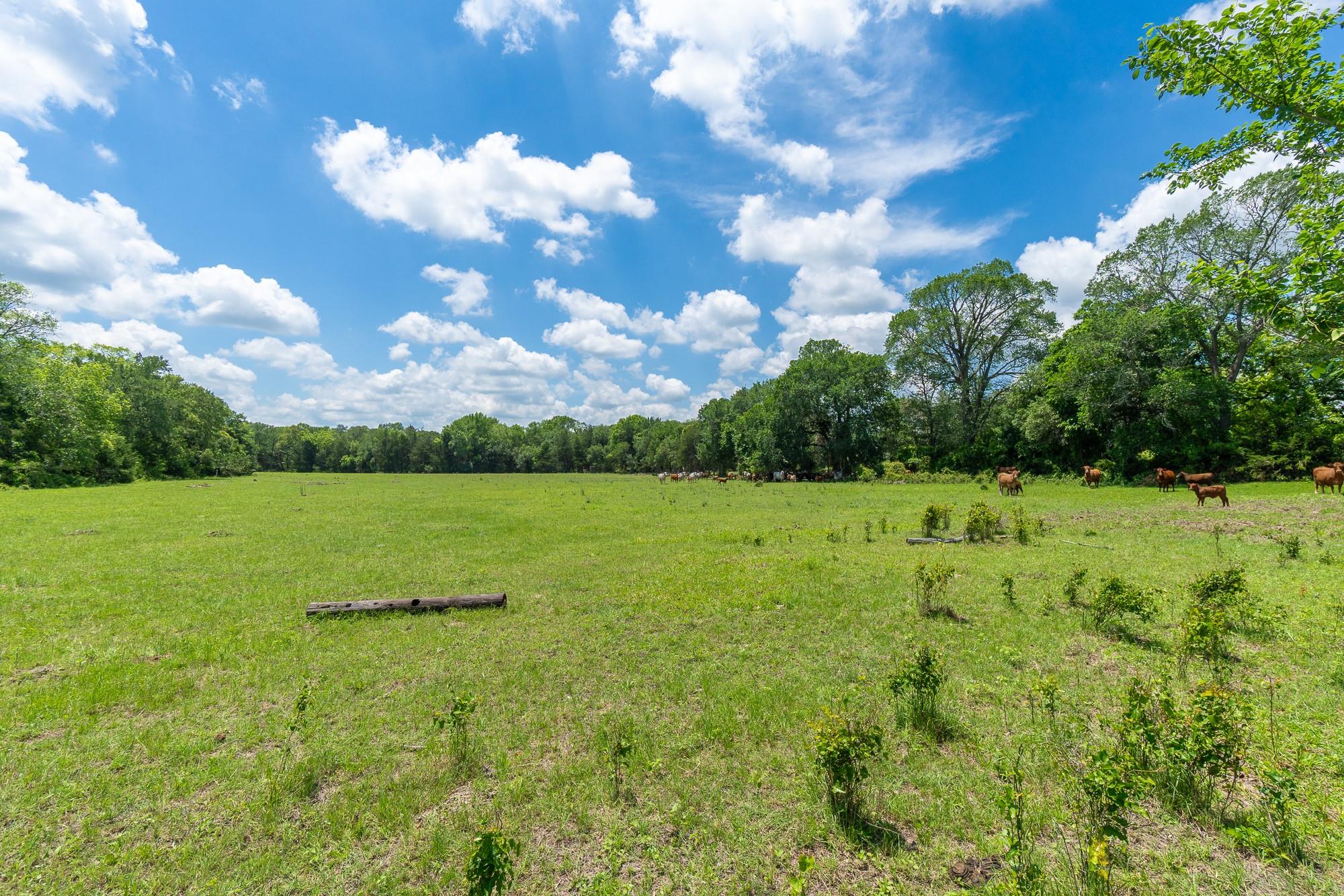 5018 Wolters Road Schulenburg TX 78956
