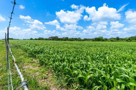 5018 Wolters Road Schulenburg TX 78956