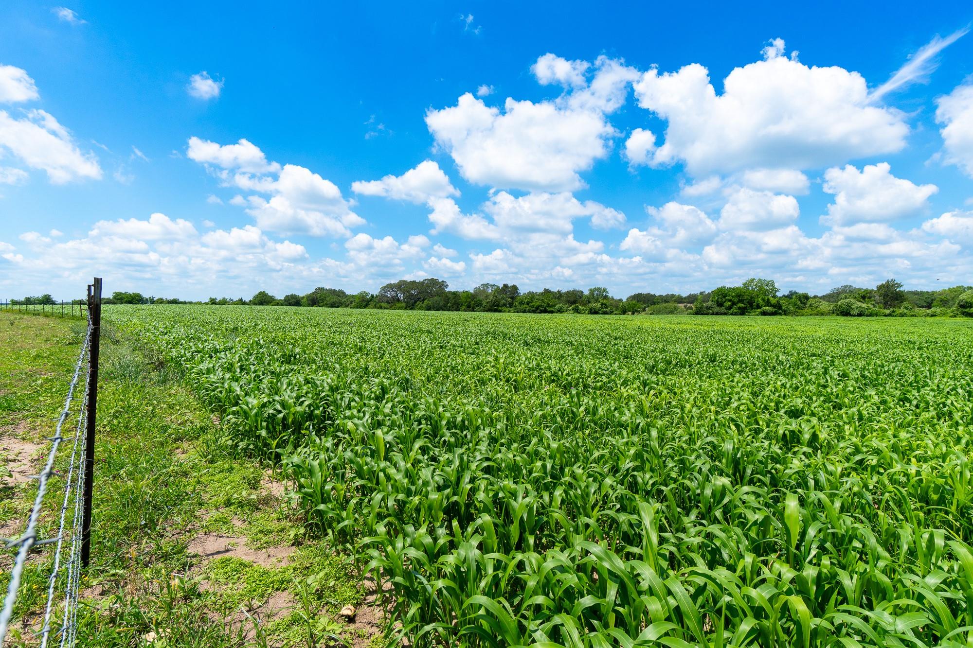 5018 Wolters Road Schulenburg TX 78956
