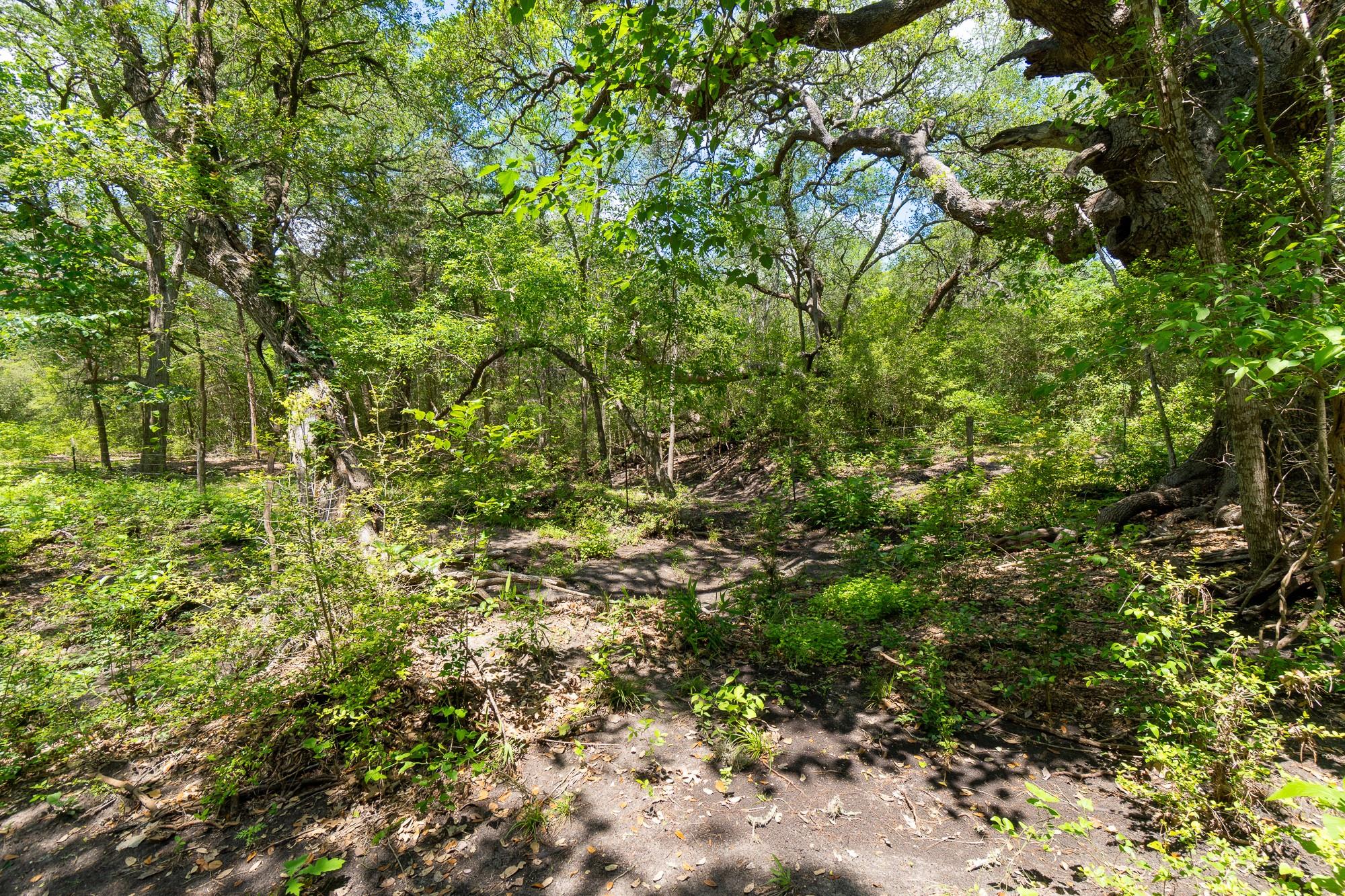 5018 Wolters Road Schulenburg TX 78956