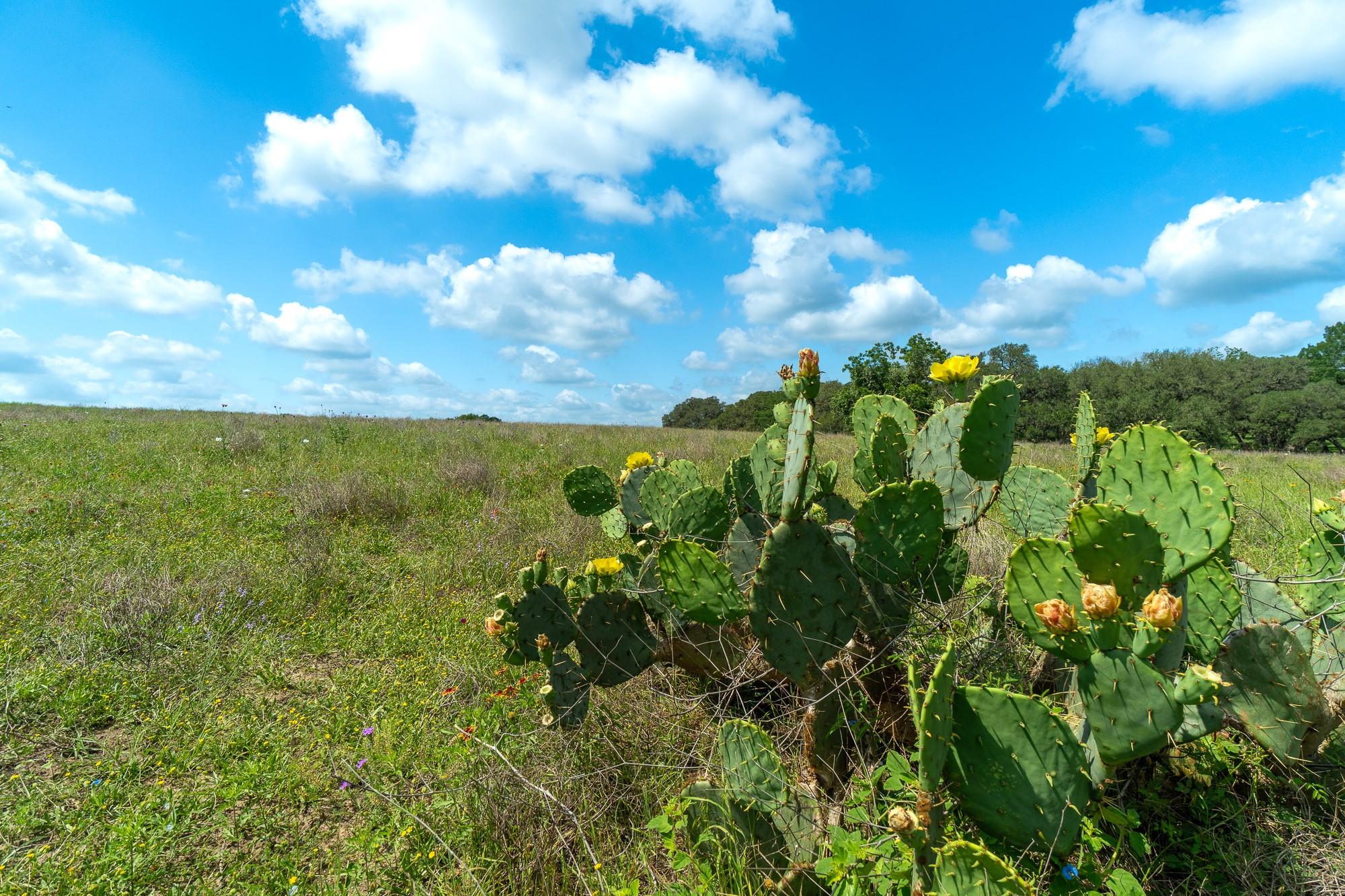 5018 Wolters Road Schulenburg TX 78956