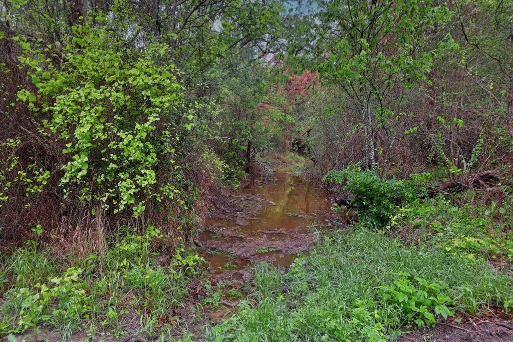 986 Shiloh Road Bastrop TX 78602