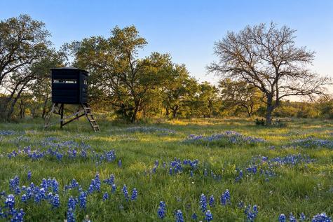 2810 Bridlewood Ranches Drive San Marcos TX 78666
