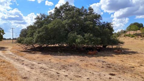 Tbd 71 Highway Bastrop TX 78057