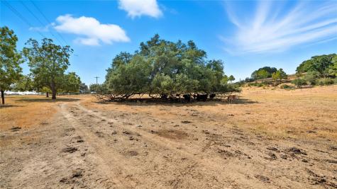 Tbd 71 Highway Bastrop TX 78057