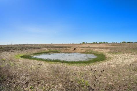 46.248 Acres County Road 211 Florence TX 76527