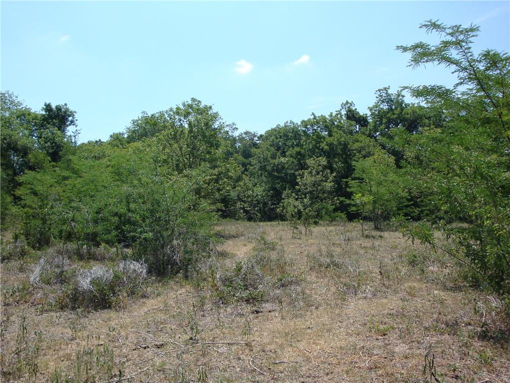 1342 Cr 358 Road Gonzales TX 77984