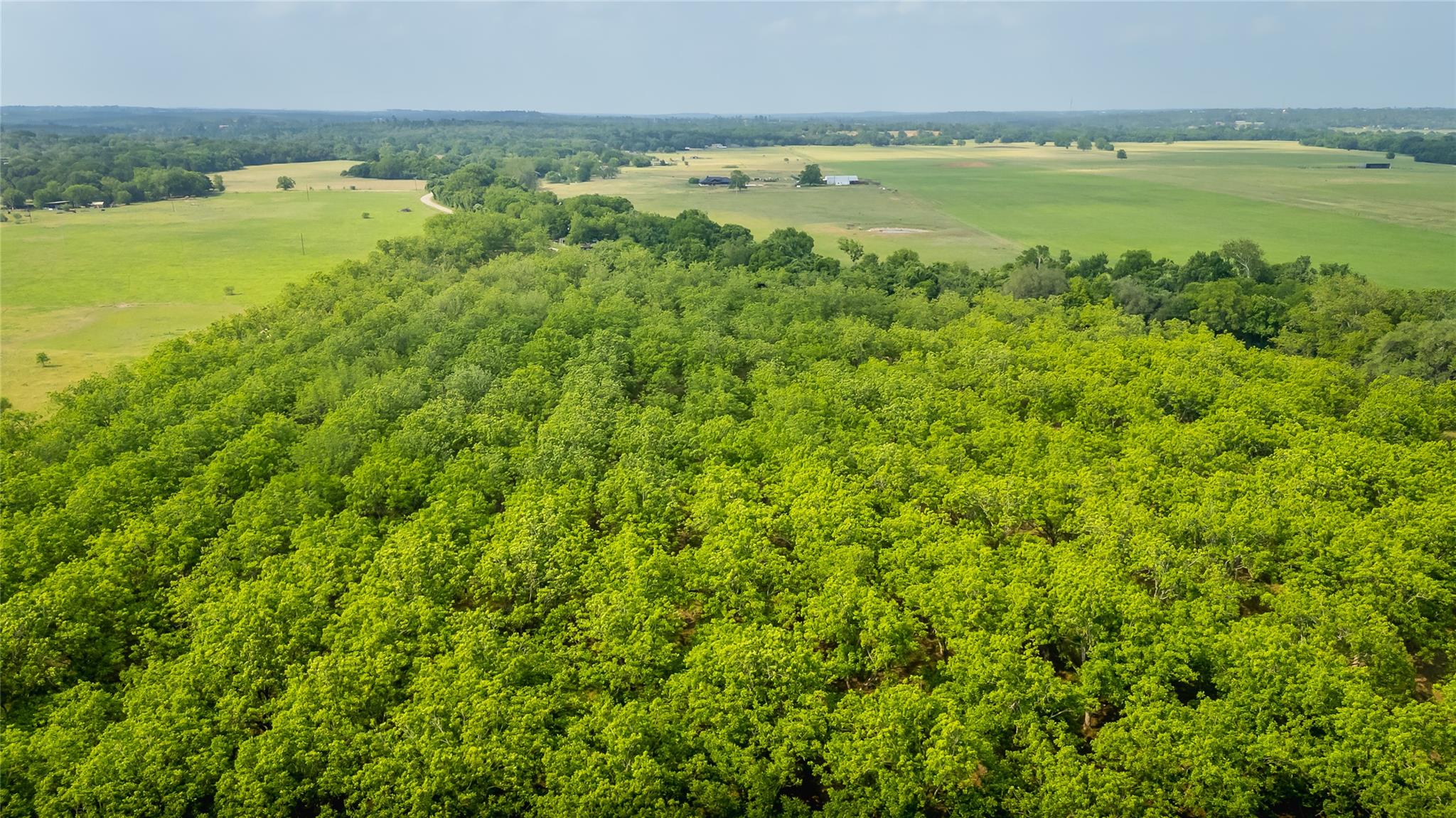 452 Ponderosa Road Bastrop TX 78602