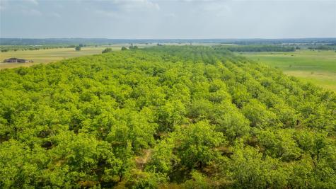 452 Ponderosa Road Bastrop TX 78602