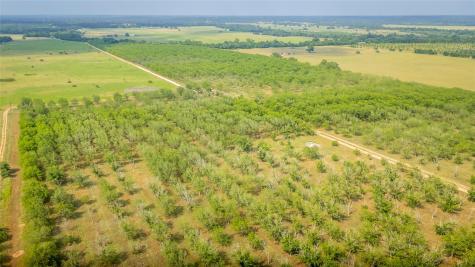 452 Ponderosa Road Bastrop TX 78602