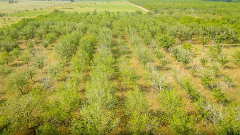 452 Ponderosa Road Bastrop TX 78602