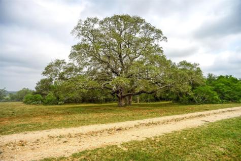323 Cr 446 Gonzales TX 78629