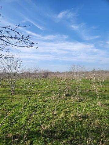 323 Cr 446 Gonzales TX 78629