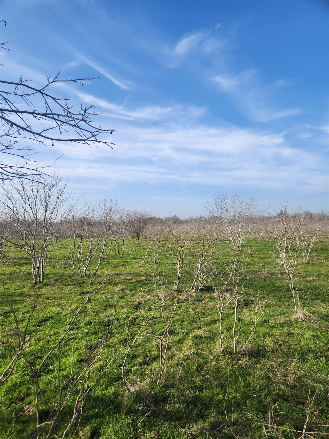 323 Cr 446 Gonzales TX 78629