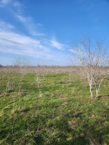 323 Cr 446 Gonzales TX 78629
