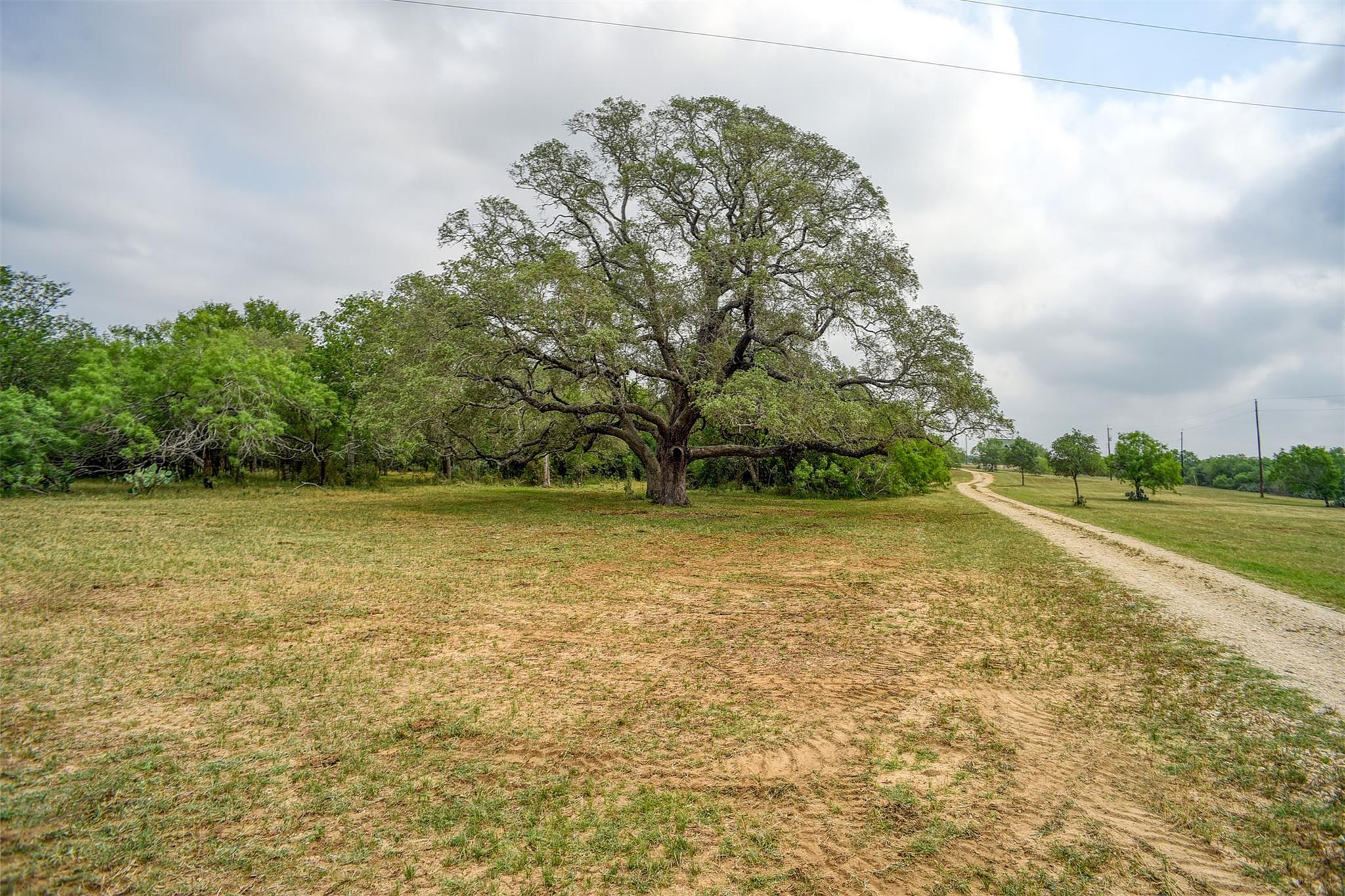 323 Cr 446 Gonzales TX 78629