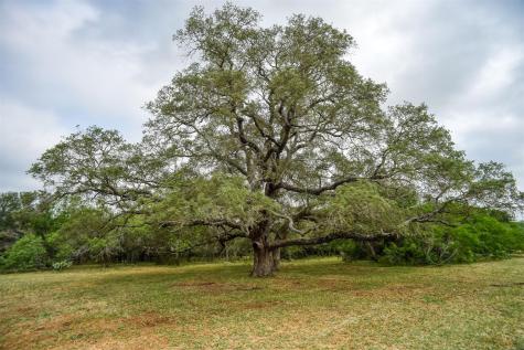 323 Cr 446 Gonzales TX 78629