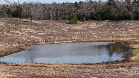 218 Little Ranch Road Red Rock TX 78662