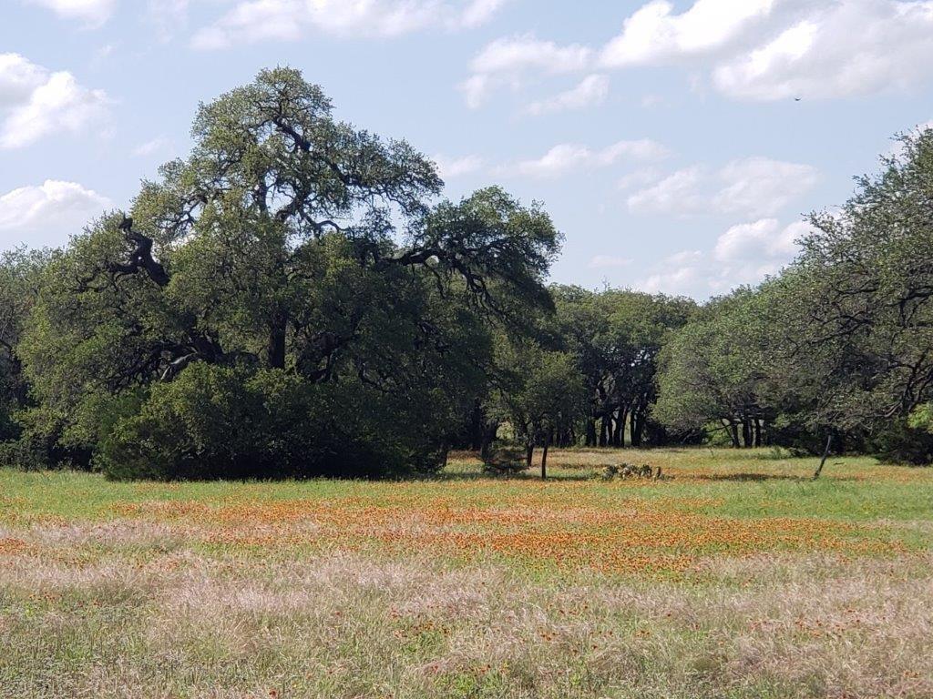 7947 County Road 1255 Lampasas TX 76550