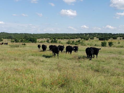 7947 County Road 1255 Lampasas TX 76550