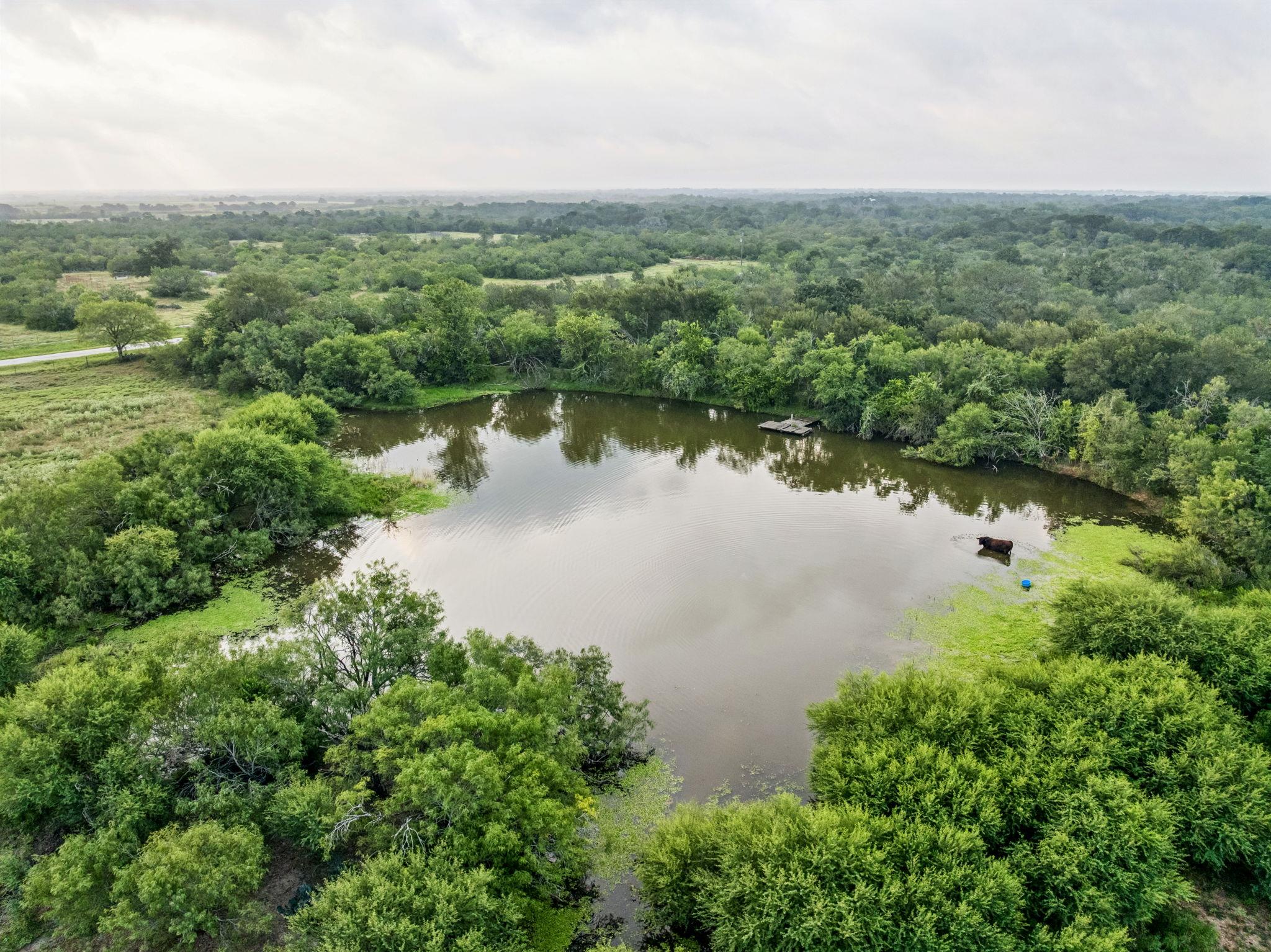 9611 Wilke Road Kingsbury TX 78638