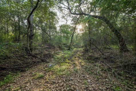 9611 Wilke Road Kingsbury TX 78638
