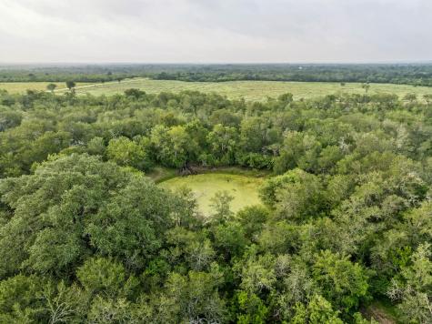 9611 Wilke Road Kingsbury TX 78638