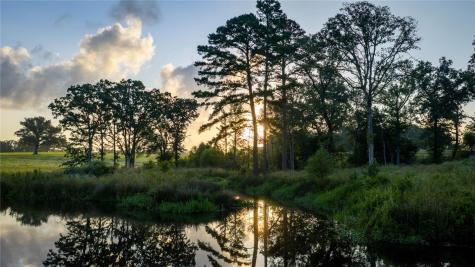 1577 County Road 431 Tennessee Colony TX 75861