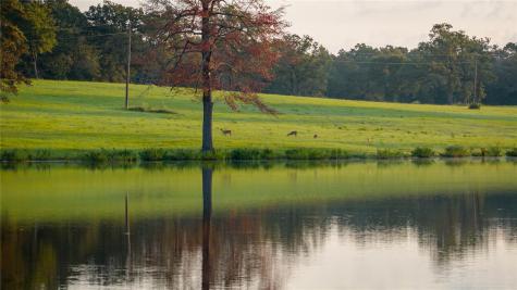 1577 County Road 431 Tennessee Colony TX 75861