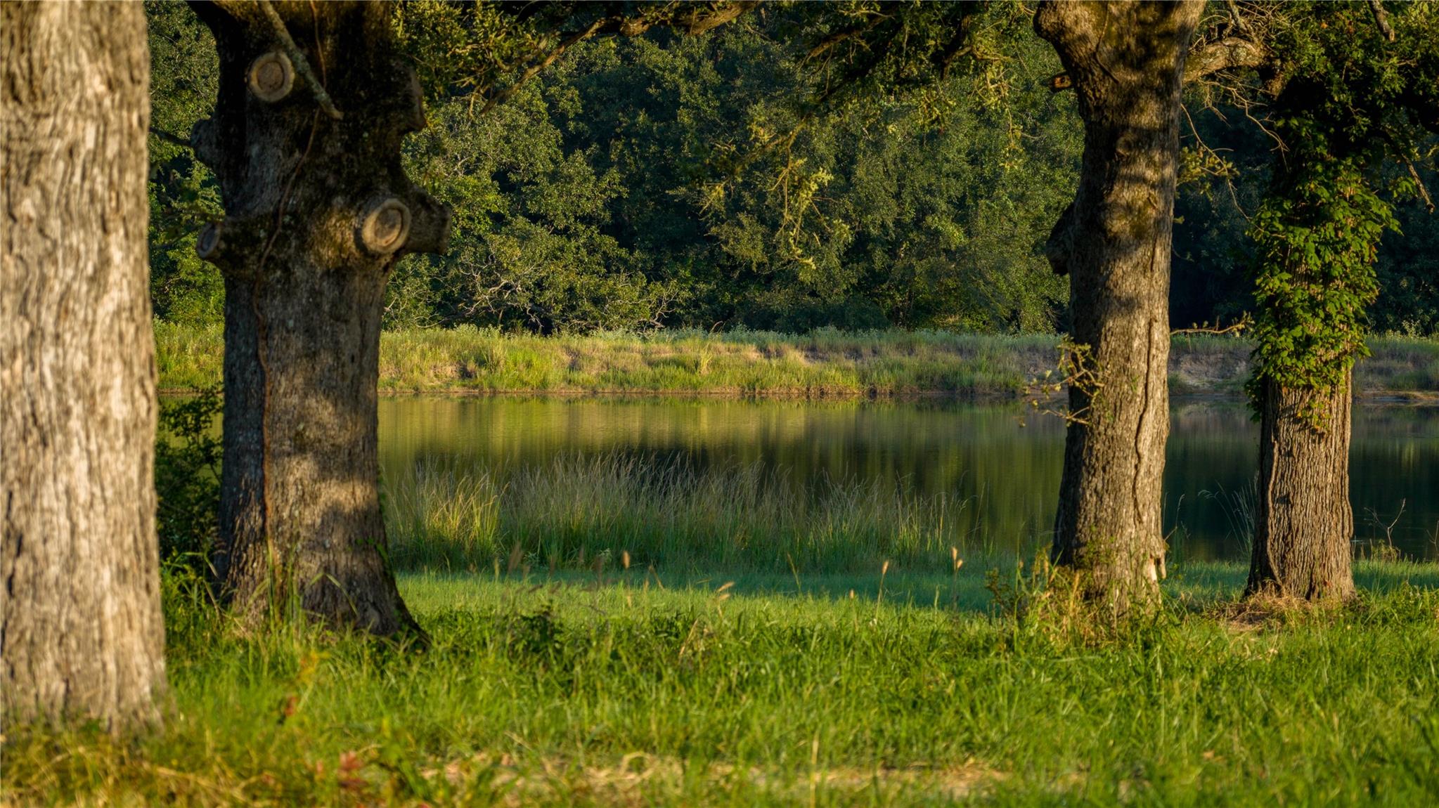 1577 County Road 431 Tennessee Colony TX 75861