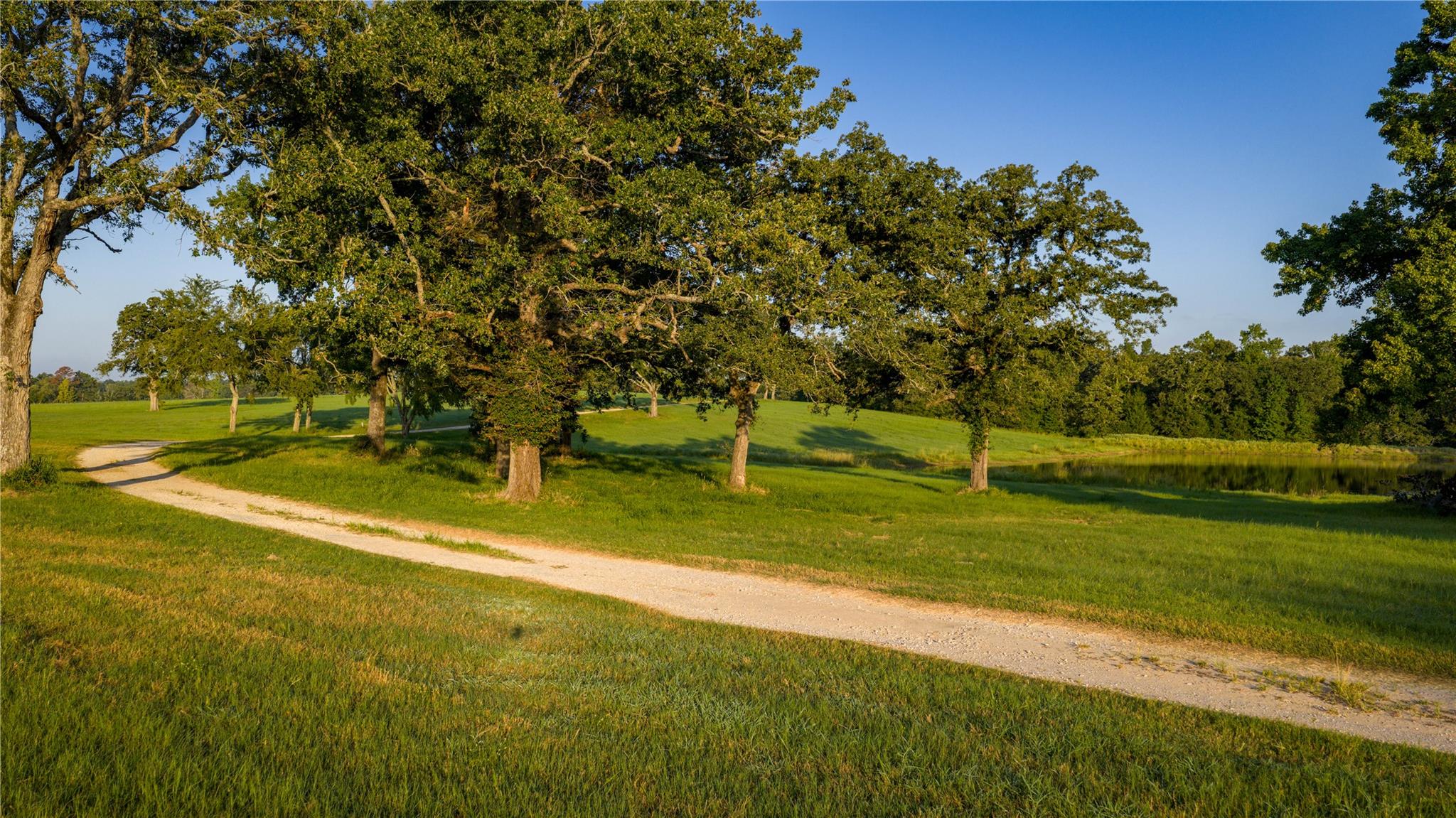 1577 County Road 431 Tennessee Colony TX 75861