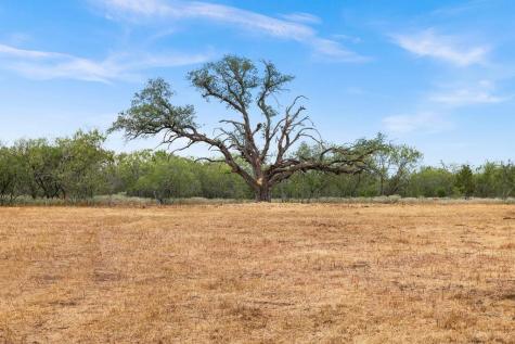 Tbd - 11 Cr 171 Nixon TX 78140