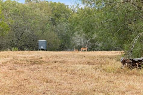 Tbd - 11 Cr 171 Nixon TX 78140