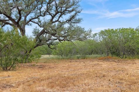 Tbd - 11 Cr 171 Nixon TX 78140
