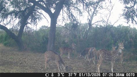641 Patterson Creek Road Leakey TX 78873
