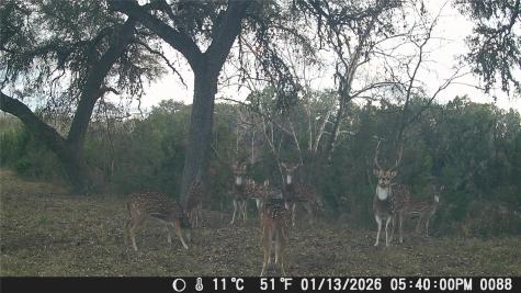 641 Patterson Creek Road Leakey TX 78873