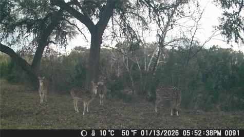 641 Patterson Creek Road Leakey TX 78873