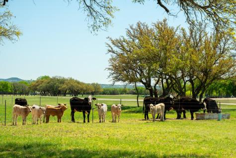 4503 Fm 1715 Lampasas TX 76550