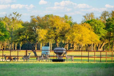 4503 Fm 1715 Lampasas TX 76550