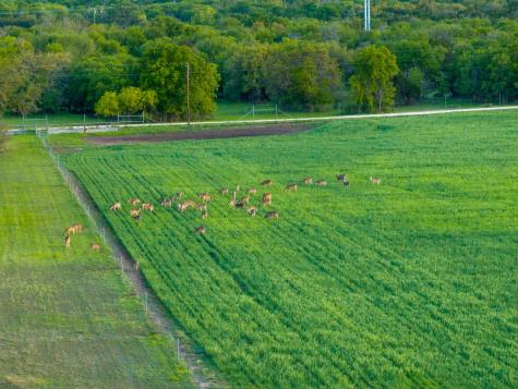 4503 Fm 1715 Lampasas TX 76550