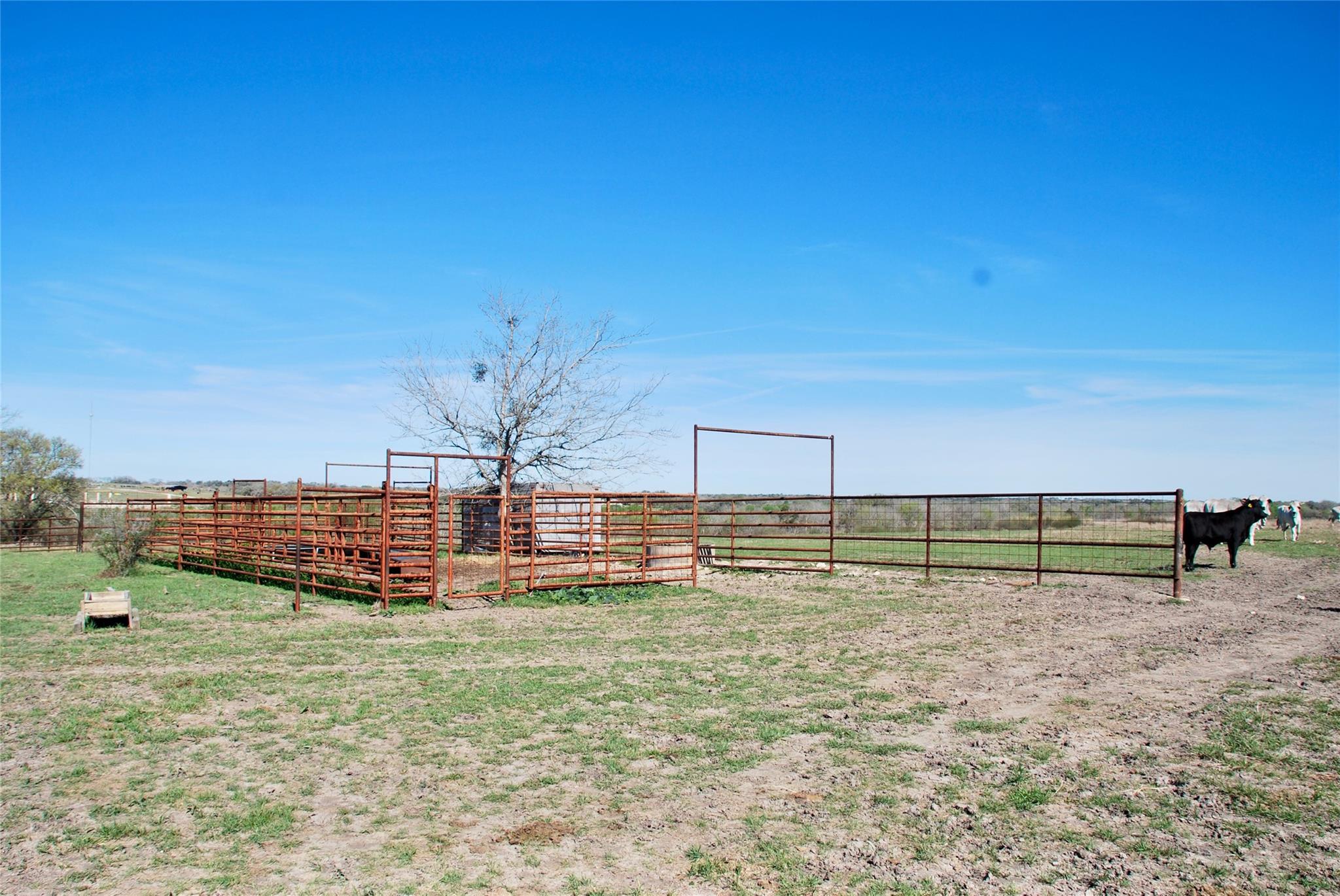 Tbd State Highway 95 Highway N Moulton TX 77975