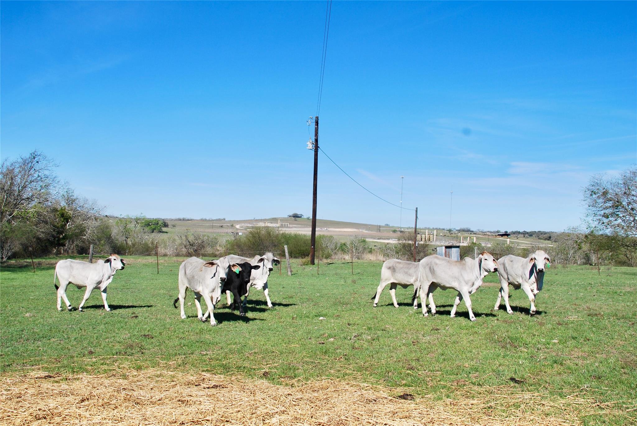 Tbd State Highway 95 Highway N Moulton TX 77975