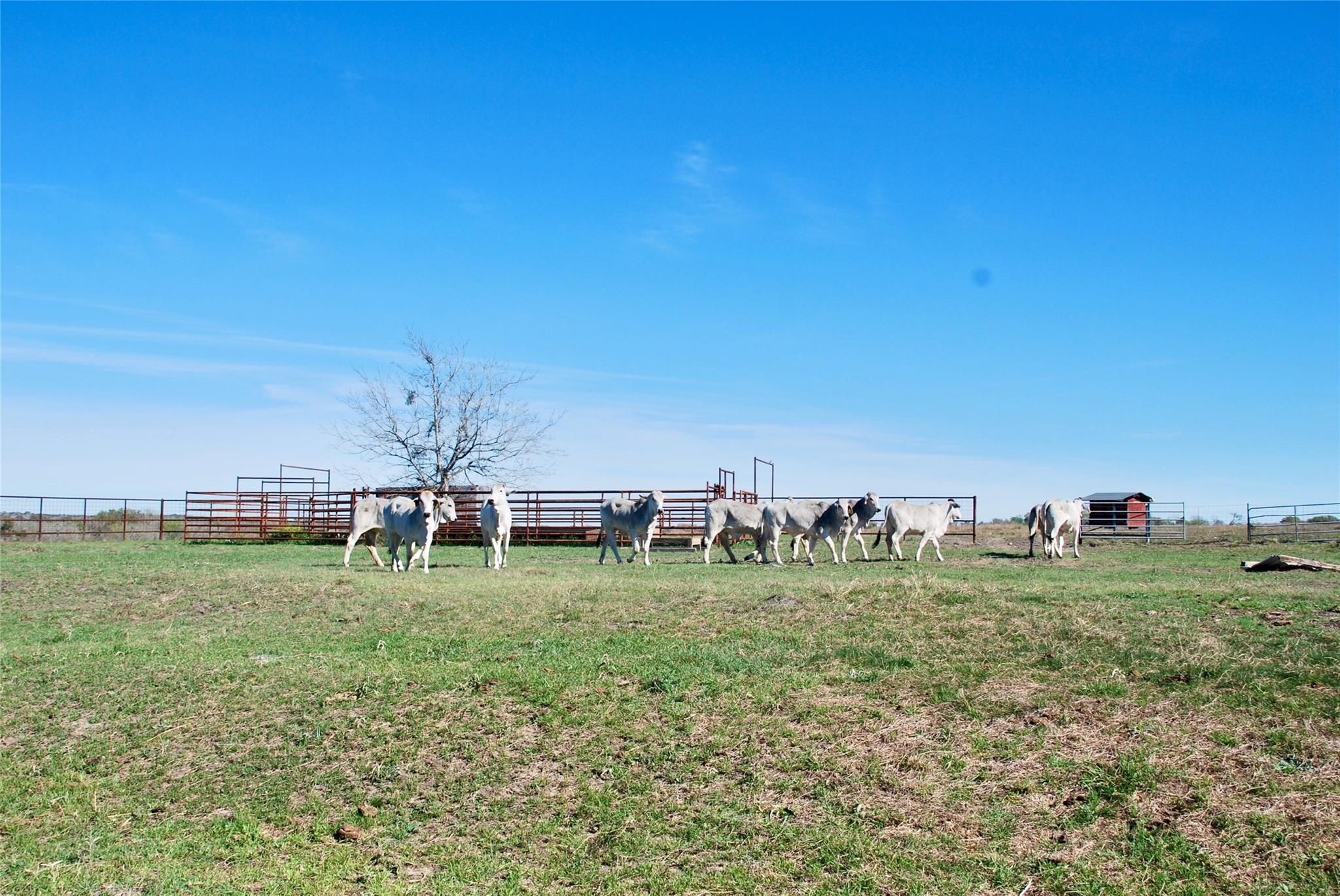 Tbd State Highway 95 Highway N Moulton TX 77975